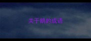关于鹅的成语