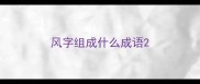 风字组成什么成语