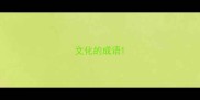 文化的成语