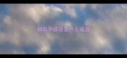 如有字成语是什么成语