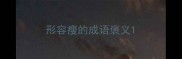 形容瘦的成语褒义