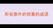 形容意外的惊喜的成语