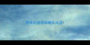 带体的成语有哪些成语