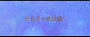 什么子十的成语