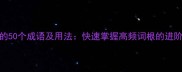 带带字的50个成语及用法快速掌握高频词根的进阶学习法
