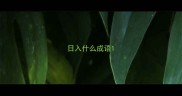 日入什么成语