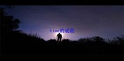 tiao的成语
