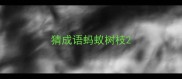 猜成语蚂蚁树枝