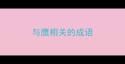 与鹰相关的成语