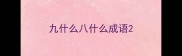 九什么八什么成语