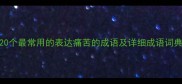 20个最常用的表达痛苦的成语及详细成语词典