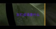 言打成语是什么