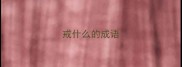 戒什么的成语