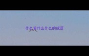 什么首什么什么的成语