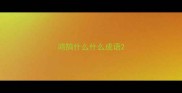 鸿鹄什么什么成语