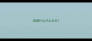 成语什么什么本本