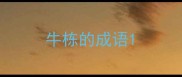 牛栋的成语