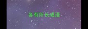 各有所长成语