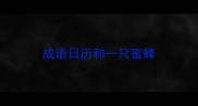 成语日历和一只蜜蜂