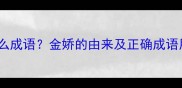 金娇是什么成语金娇的由来及正确成语用法指南