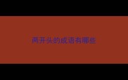 两开头的成语有哪些