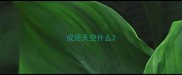 成语天空什么
