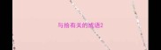 与拾有关的成语
