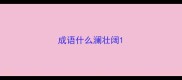 成语什么澜壮阔