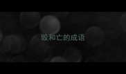 毁和亡的成语