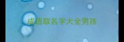 成语取名字大全男孩