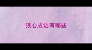 狼心成语有哪些