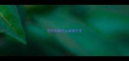 穷什么极什么成语大全