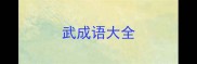 武成语大全