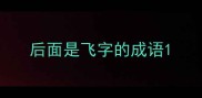 后面是飞字的成语