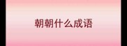朝朝什么成语