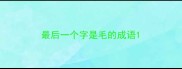 最后一个字是毛的成语