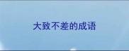 大致不差的成语