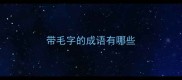 带毛字的成语有哪些