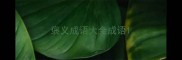 褒义成语大全成语