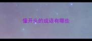 懂开头的成语有哪些