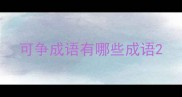 可争成语有哪些成语