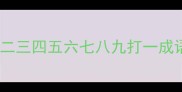 一二三四五六七八九打一成语
