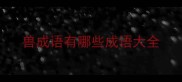 兽成语有哪些成语大全