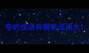 夸的成语有哪些成语大