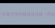 10个第四个字是目字的成语及详细附应用场景