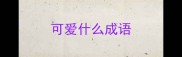 可爱什么成语
