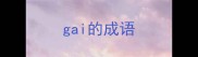 gai的成语