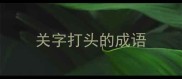 关字打头的成语