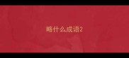 略什么成语