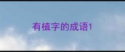 有植字的成语
